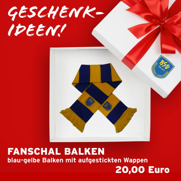 Fanschal "Balkenmuster"