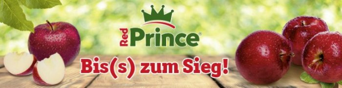 2020-RedPrince-Banner-Nachberichterstattung-768x199-1-700x181-1